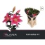 product/img.floraplaza.nl/100683-85-LIVE_fotos-0x4472F22F7EDF800724AB77CC78E26EB86E4C94C5.jpg