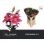 product/img.floraplaza.nl/100683-85-LIVE_fotos-0x8AD309DA224FA534135A6927B9D0984A580478BB.jpg