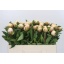 product/img.floraplaza.nl/100697-50-LIVE_fotos-0x28E1507D0B985C2126ABB95D1A5F70DB18AE3A86.jpg