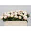 product/img.floraplaza.nl/100697-50-LIVE_fotos-0x345CC176A389A8BF59912CEBBB5ACD475003DF75.jpg