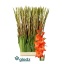 product/img.floraplaza.nl/100822-115-LIVE_fotos-0xCBEFD1D4470953C8063BF57E684B7C436D01134C.jpg