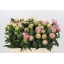 product/img.floraplaza.nl/100836-55-LIVE_fotos-0x2FF74268DC7CA712E35DC1BDACED643DEA89E288.jpg