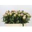 product/img.floraplaza.nl/100836-55-LIVE_fotos-0x35E0E158752B3DC54A851C42CF47D56DDC84F6C7.jpg