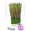 product/img.floraplaza.nl/100868-125-LIVE_fotos-0xE1962FBE95EA42306B437F1CFFF1A67D5EA26DEB.jpg