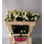product/img.floraplaza.nl/101339-50-LIVE_fotos-0xFEE46EEA3A149F63C54A2BDBACBB5FC04BD7B816.jpg
