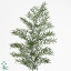 product/img.floraplaza.nl/102282-45-ART_Fotos-VBN-vbn102282.jpg product/img.floraplaza.nl/102282-45-ART_Fotos-VBN-vbn102282.jpg