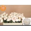product/img.floraplaza.nl/102619-50-LIVE_fotos-0x0908DCFD71AC5516F4D83B1762A1FBAEEFCAF265.jpg