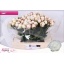 product/img.floraplaza.nl/102619-50-LIVE_fotos-0x62F51A6165CCD647C5FB8BD02B4F107D2C601F02.jpg