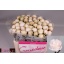 product/img.floraplaza.nl/102619-50-LIVE_fotos-0x7BFBD3709E614F6D41D72EBDB8AE3D694A41399E.jpg