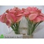 product/img.floraplaza.nl/102695-70-LIVE_fotos-0x33900DEF941BA089F5DBE2A285C8B7DB7AD9D590.jpg