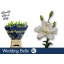 product/img.floraplaza.nl/10309-90-LIVE_fotos-0x046FCC5065D4DE55C53B052CFF12551D8C297E01.jpg