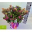 product/img.floraplaza.nl/103505-23-LIVE_fotos-0x5CB6E4ADF23ED8D9D191B047C64FBDA03F1A34F5.jpg