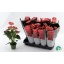 product/img.floraplaza.nl/104454-12-LIVE_fotos-0xC0A775D1BDE680A45E1D8A70A70C2D2D030FC7C4.jpg