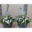 product/img.floraplaza.nl/104708-25-LIVE_fotos-0xCE92F0BE65AFE1E739170BAED78212E1ECF60B39.jpg