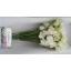 product/img.floraplaza.nl/104814-40-LIVE_fotos-0xE13A7C89C64A3615BFDD8A864279F94AEA88221E.jpg