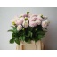 product/img.floraplaza.nl/105249-45-LIVE_fotos-0xD5A0DB07166FF87BC1C9E8E3B371CC05AF25F28F.jpg