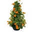 product/img.floraplaza.nl/105322-30-LIVE_fotos-0xDEDAE3611C3435BC285A6E06E63EA3EB312B7282.jpg