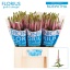 product/img.floraplaza.nl/105424-60-LIVE_fotos-0xF504A07A32E65440D1FB7BFEB30DFEEE629A9C89.jpg
