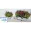 product/img.floraplaza.nl/105675-19-LIVE_fotos-0xB813CD7DC3B2CC581A31A13AF205ECD02CC11380.jpg