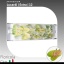 product/img.floraplaza.nl/106131-LIVE_fotos-0x9908A3162998BEC3FE55EBE5B3B70A7EC677AFEE.jpg