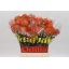 product/img.floraplaza.nl/106207-50-LIVE_fotos-0xBEBBE082137AD60707EEDE3F0544214686B77866.jpg