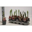 product/img.floraplaza.nl/106255-12-LIVE_fotos-0xAA618CA47C40C0A93F7BD6015E76FD86AB5E2533.jpg