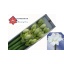 product/img.floraplaza.nl/106263-70-LIVE_fotos-0xFB54542101D6D1EF9D2F7A0886386311BB5C35BE.jpg