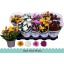 product/img.floraplaza.nl/106462-12-LIVE_fotos-0xD230043FE24B288EC72E1999CF69C5B1A36D5C1A.jpg