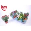 product/img.floraplaza.nl/106649-510-LIVE_fotos-0xBDFB2A74BAB4201509070C8959AB0017382B7843.jpg