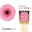 product/img.floraplaza.nl/107364-50-LIVE_fotos-0xD6DC7FB227A2D98D84EDA6B0CBFD8B30EA770AFE.jpg