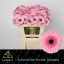 product/img.floraplaza.nl/107364-50-LIVE_fotos-0xF2C6EB98E98CDBF15690A202CD1E25EAB92DDFFD.jpg