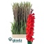product/img.floraplaza.nl/107989-130-LIVE_fotos-0x8D52D2F6217E1508649E7E2FF39E094F804033D0.jpg