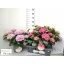 product/img.floraplaza.nl/109029-23-LIVE_fotos-0xD5ABD5CA8087058861942DAEC2FF9A44B22E7CEF.jpg
