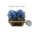 product/img.floraplaza.nl/110033-50-LIVE_fotos-0x19EE1CE716CF1CFC7B567C41D3A84EE0263309E4.jpg