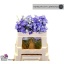 product/img.floraplaza.nl/110138-50-LIVE_fotos-0x897DED8A29A69E873CDC69C8C2F80AEC029C1A25.jpg