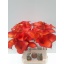 product/img.floraplaza.nl/111336-60-LIVE_fotos-0xE4DCC802090FCAB58C683BAA7C61183215B6618E.jpg