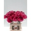product/img.floraplaza.nl/111744-60-LIVE_fotos-0x5826E6C032F9D246FCDAA5FE28F90BFE75A86ED7.jpg