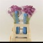 product/img.floraplaza.nl/111744-60-LIVE_fotos-0x7ABBE697A7AC589D3F986D37905798B148C1F9CA.jpg