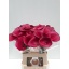 product/img.floraplaza.nl/111744-60-LIVE_fotos-0xBD96BD4C5E278C96281680B2037A19450067EA3A.jpg