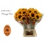 product/img.floraplaza.nl/111783-75-LIVE_fotos-0xB3608F62C2A145633552A82943375021FB937024.jpg