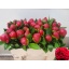 product/img.floraplaza.nl/111938-50-LIVE_fotos-0x519FA6E605C3B561602906A482DDD547B3EF0C3B.jpg