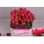 product/img.floraplaza.nl/111938-60-LIVE_fotos-0x6BF23F434A010A36B3457D6CEF0D93CC979A67C4.jpg