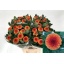 product/img.floraplaza.nl/112332-80-LIVE_fotos-0xDD0BF6BC208A0FDFE7305B6B02530086A7868410.jpg