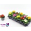 product/img.floraplaza.nl/112357-510-LIVE_fotos-0xEBEA67CC464D9706457235C53555D16916E46469.jpg