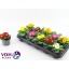 product/img.floraplaza.nl/112357-510-LIVE_fotos-0xF904FAD6B2BA6284A16B1DA763E0A9A17A2C9110.jpg