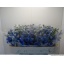 product/img.floraplaza.nl/112414-70-LIVE_fotos-0xE528FE7A234725C3AD9C77D038AB4F7BACFB307C.jpg