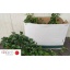 product/img.floraplaza.nl/11288-17-LIVE_fotos-0xE94D14418873DA3AF7263CD84AFBD41ECA4CE3EC.jpg