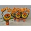 product/img.floraplaza.nl/112897-9-LIVE_fotos-0xB016997A0249BD3F95A5049216130CBFB73D6452.jpg