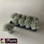 product/img.floraplaza.nl/11375-12-LIVE_fotos-0x2FCE7AAEDB9044BC076D98B12DA53FA2C5E2F8D3.jpg