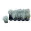 product/img.floraplaza.nl/11375-12-LIVE_fotos-0xF56F9FFFB8DB8400F1E568B2C870433B7CA83C06.jpg